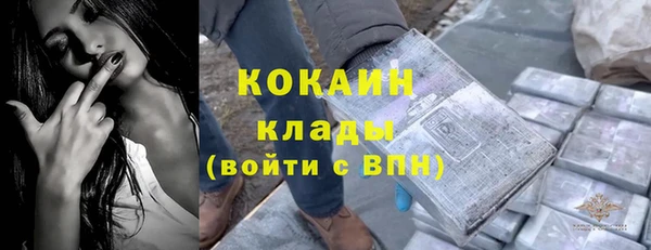 шишки Бронницы