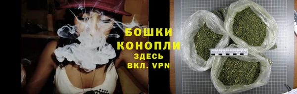 шишки Бронницы