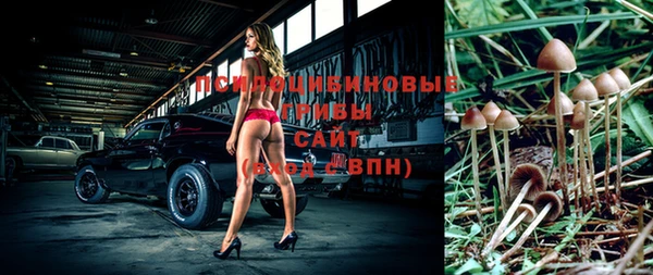 прущая мука Богородицк