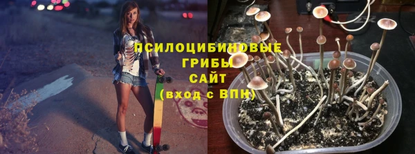 ПСИЛОЦИБИНОВЫЕ ГРИБЫ Богородск