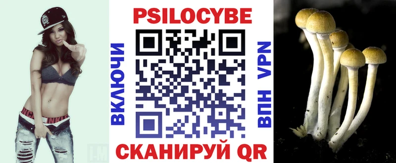 MEGA ТОР  Бутурлиновка  Псилоцибиновые грибы Cubensis 